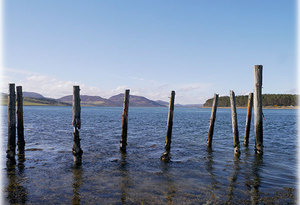 Loch Fleet with timbers in the foreground