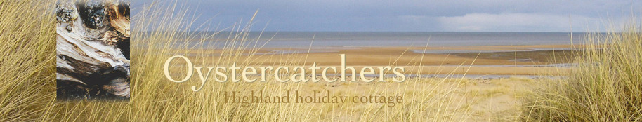 Oystercatchers highland holiday cottage title with beach view and driftwood