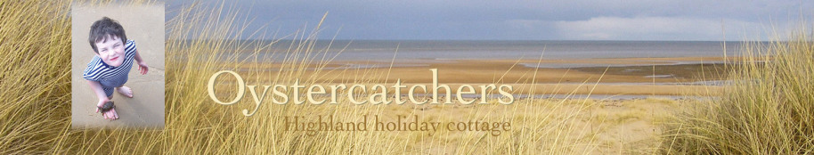 Oystercatchers highland holiday cottage title with beach view and boy with crab