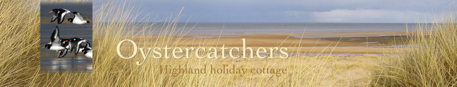 Oystercatchers highland holiday cottage title with beach view and oystercatchers