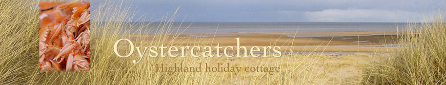 Oystercatchers highland holiday cottage title with beach view and langoustine