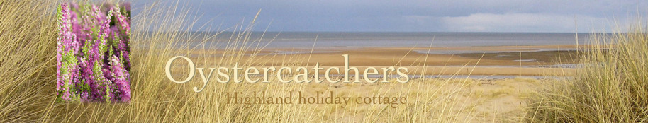 Oystercatchers highland holiday cottage title with beach view and heather