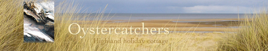 Oystercatchers highland holiday cottage title with beach view and bleached driftwood