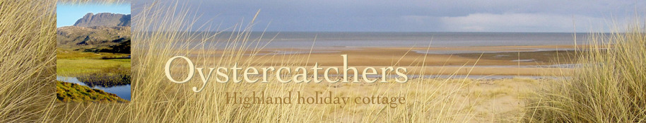 Oystercatchers highland holiday cottage title with beach view and mountain